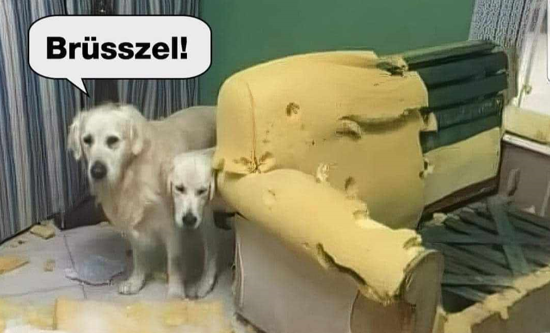Kiáltvány a nemzethez!